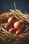 Braune Eier im Stroh