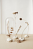 Dried flowers with gold leaf supported by modelling clay with glass cover
