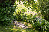 Versteckter Sitzplatz umgeben von Zierlauch im Garten