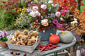Herbstterrasse: Herbststrauß mit Rosen, Hagebutten, Chrysanthemen und Herbstastern, Korb mit Maronen, Speisekürbisse, Peperoni, Hagebutten und Stiefmütterchen