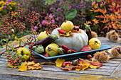 Herbstdekoration mit Speisekürbis, Quitten, Auberginen, Chili, Hagebutten, Maronen in der Hülle und Herbstlaub