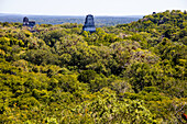 Antike Maya Tempelruinen im Urwald, Tikal, Guatemala, Mittelamerika