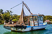 Fischkutter auf dem Fluss Rio Dulce, bei Livingston, Guatemala, Mittelamerika