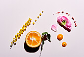 Fragrance notes for perfume (citrus fruits, flowers, pink peppercorns, mimosa blossom)