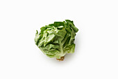 Frischer grüner Salatkopf vor weißem Hintergrund