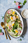 Potato salad with sliced fennel and radish, cucumber strips, eggs, edamame beans and green pea sprouts