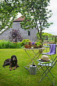 Bistro set with a dog on a lawn in the garden