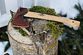 Hatchet with protective cover on a tree trunk