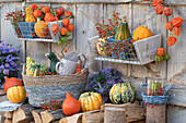 Autumn decoration on the firewood pile: gourds, ornamental gourds, lantern fruits, rose hips in wall hangers and baskets, wreath of autumn asters and man litter, wind light