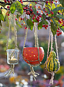 Kürbisdeko am Zierapfelbaum: Glas und Kürbis als Windlicht, kleiner Zierkürbis