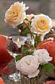 Rosenblüten, Windlicht und Kürbisse