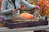 Tying garland from budding heather: Woman places finished garland around pumpkin in wreath of tendrils
