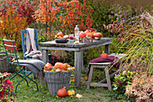 Pumpkin table decoration with pumpkins, small bouquet of peony fruit stands and horned violets, basket with pumpkins and autumn leaves, chairs and bench with blankets, message: autumn