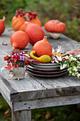 Kürbis-Tischdeko mit Kürbissen als Platzkarten, kleiner Strauß aus Pfaffenhütchen-Fruchtständen und Hornveilchen, Schneebeeren