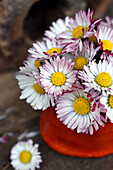 Kleiner Strauß aus Gänseblümchen