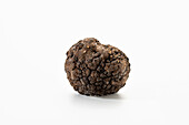 Black truffle against a white background (Perigord truffle)