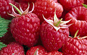 Fresh raspberries (full-frame)