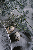 Natural quail egg scene