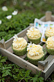 Coconut muffins with frosting for a picnic