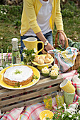Frühlings-Picknick mit Kuchen und Kleingebäck