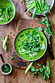 Cream of green pea soup