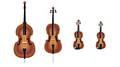 Violin family, Illustration
