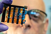 Researcher holding a perovskite solar cell