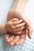 Baby's hand in mother's hand