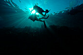 Two scuba divers swimming underwater