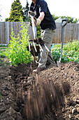 Preparing allotment soil for planting
