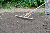 Raking seed into patch of soil covering a lawn