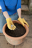 Applying slow-release fertilizer to compost in a pot