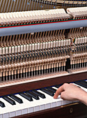 Piano hammers and hand on piano key of upright piano