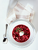 Borscht with soured cream and dill sprig