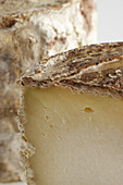 French persille de tignes goat's cheese