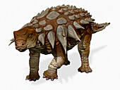 Edmontonia armoured dinosaur, illustration