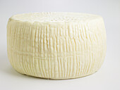 Italian formaggio primo sale ewe's milk cheese