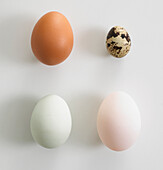 Selection of eggs