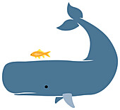 Whale and smaller fish, illustration