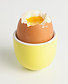 Boiled egg in a cup