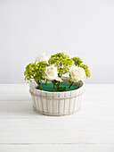 Creating flower arrangement in wooden basket