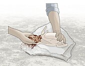 Removing offal from plucked bird, illustration