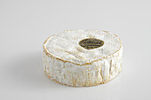 French camembert cow's milk cheese