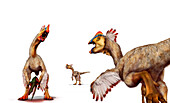 Citipati oviraptorid theropod dinosaur, illustration