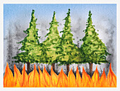 Forest fire approaching trees, illustration