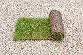 Semi-rolled new turf on gravel