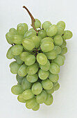 Muscatel grapes