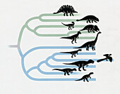 Phylogeny of dinosaurs, illustration