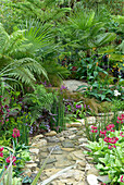 Garden with water feature and lush spread of plants
