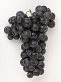 Benhanna grape variety